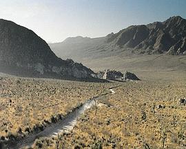 家教老師看見學生自慰威脅強奸學生 小野