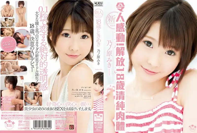 跨年巨献！爆乳空姐黑丝肉丝双重诱惑，激情中出内射盛宴！