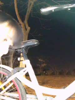 原創 [有碼] [MP4 6.83GB] GVH772YMDD431 日語老師羽月乃蒼課程2037中文字幕有碼視頻