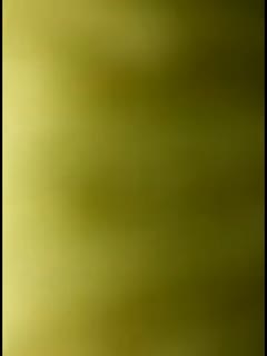 「自慰不算偷情 」出差期间 嫂子竟把我当成人肉按摩棒 饥渴人妻的私密自慰日记 JUR522 人妻JUR