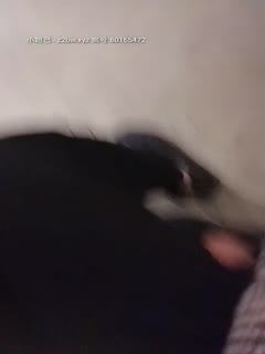 偷窥盛宴 12名神秘女优私密性爱全曝光！真实记录 AWARD 003 SGSR378