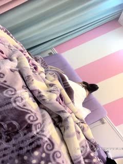 《欲望皇冠》真人激战！神秘女优全裸献身 情欲王座争夺战 NAIAD011