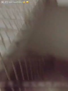 『生孩子是我们的服务项目』温顺女仆危险期强制受孕 排卵日调情到怀孕交配精选集 MDTM865 番号完整收录