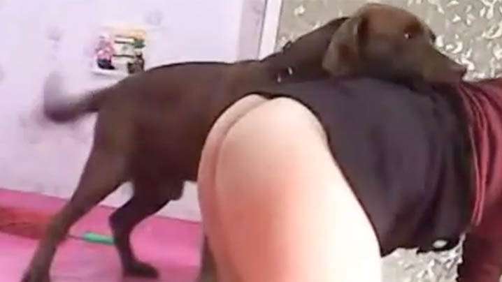 原創 [有碼] [HD 6.02G]CAWD860 「伊藤舞雪」史上、超糟糕痴女 假屌解禁・鞭打・水中蹂躪・咀嚼PLAY・男潮高潮等 讓M男玩弄到爽翻天的母性調教過度的大姐姐！[有碼高清中文字幕]