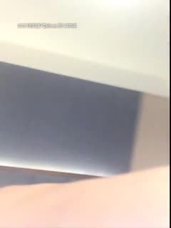 文化大學小野貓