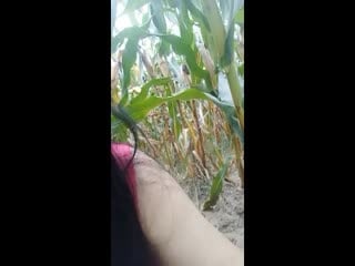 新作 [4K 19.6G] MFYD057 ゴミ部屋に住む俺 独身中年 が、隣に住む引きこもりゲーマー腐女子 アラサー とSEXする話。 藍芽みずき