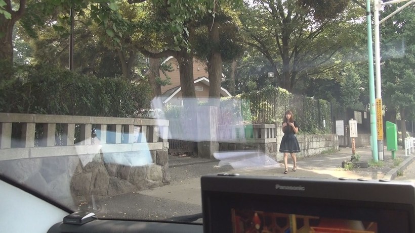 明星的供貨商，大眾難以接近的活躍高級妓女，近距離觀察令人著迷的性愛技巧。